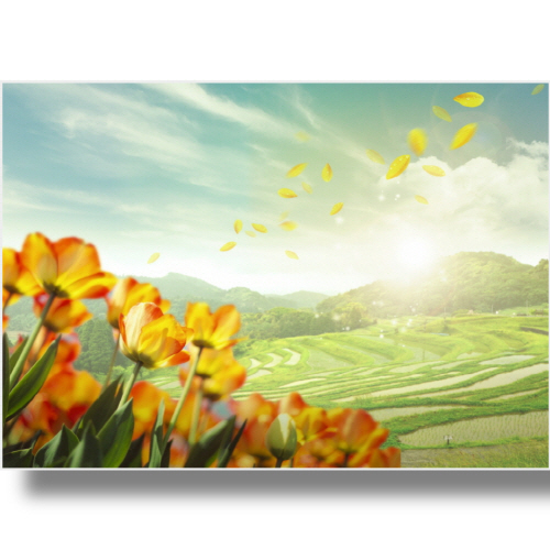 (Bj그림벽지) AT984674-2 원하시는 사이즈 주문 제작