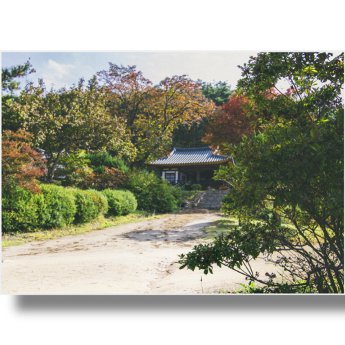 (Bj그림벽지) AT1123081 원하시는 사이즈 주문 제작