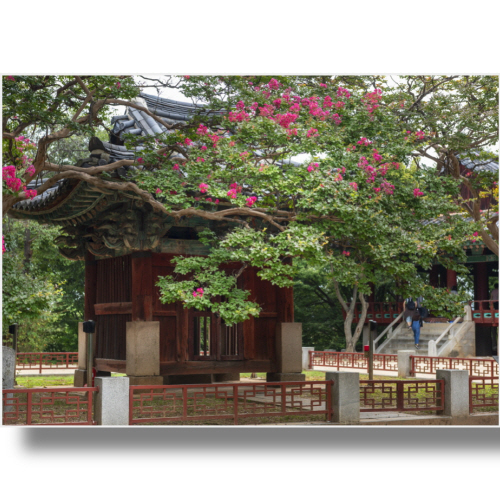 (Bj그림벽지) AT1276690 원하시는 사이즈 주문 제작