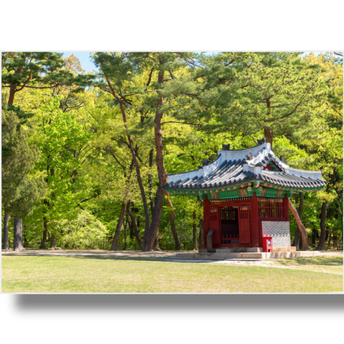 (Bj그림벽지) AT1419519 원하시는 사이즈 주문 제작