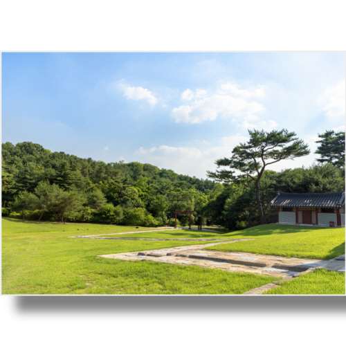 (Bj그림벽지) AT1537024 원하시는 사이즈 주문 제작