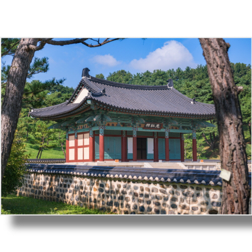 (Bj그림벽지) AT2492127 원하시는 사이즈 주문 제작