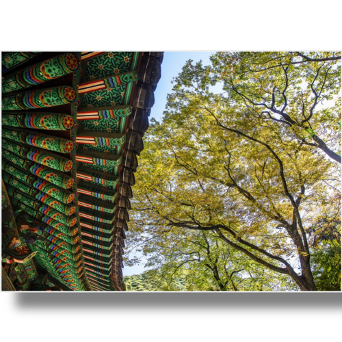 (Bj그림벽지) AT2499736 원하시는 사이즈 주문 제작