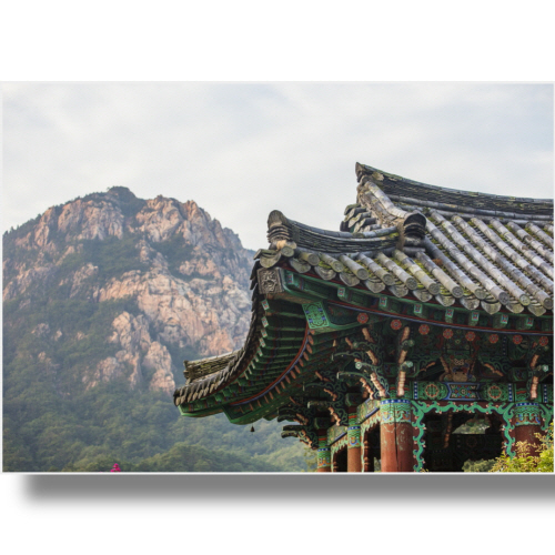 (Bj그림벽지) AT2499748 원하시는 사이즈 주문 제작