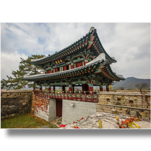 (Bj그림벽지) AT2602314 원하시는 사이즈 주문 제작