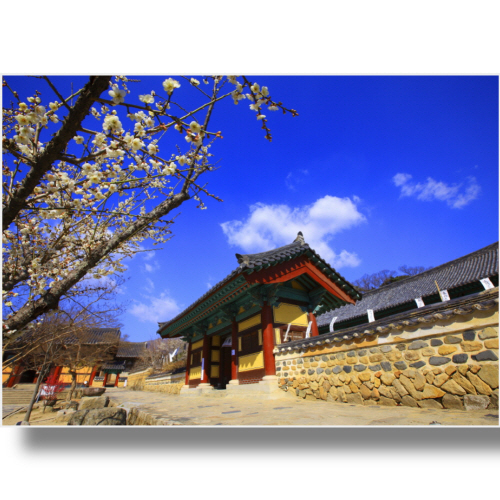 (Bj그림벽지) AT447987 원하시는 사이즈 주문 제작