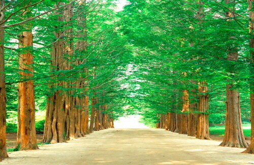 쉽게 붙이는 스티커 벽지 AT161515 풍경 뮤럴벽지