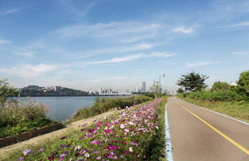 Bj그림벽지 AT603628 갈대 가을들판 벽화 꾸미기 뮤럴벽지