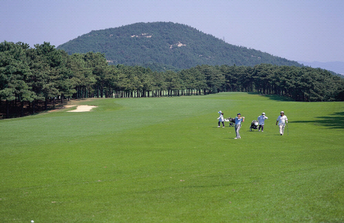 Bj그림벽지 KS45-074 골프치는 사람 벽화 꾸미기 뮤럴벽지