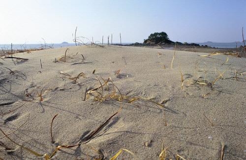 Bj그림벽지 KS25-085 사막 벽화 꾸미기 뮤럴벽지