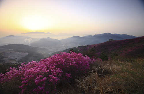 Bj그림벽지 AT448034 일출 일몰 벽화 꾸미기 뮤럴벽지