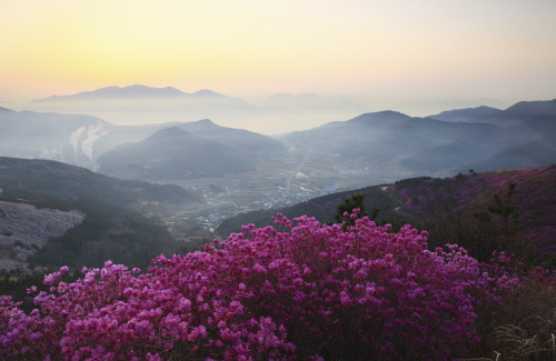 Bj그림벽지 AT448045 일출 일몰 벽화 꾸미기 뮤럴벽지