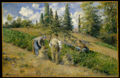 Bj그림벽지 유명명화 MK53-016 피사로_Camille Pissarro 벽화 꾸미기 뮤럴벽지